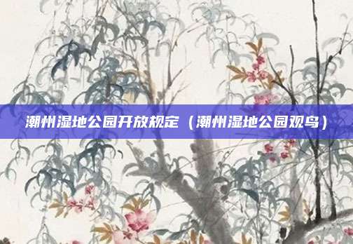 潮州湿地公园开放规定（潮州湿地公园观鸟）