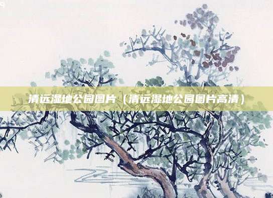 清远湿地公园图片（清远湿地公园图片高清）