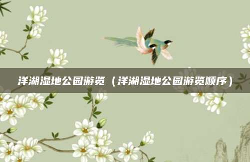 洋湖湿地公园游览（洋湖湿地公园游览顺序）