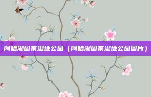阿哈湖国家湿地公园（阿哈湖国家湿地公园图片）