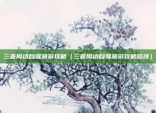 三亚周边自驾旅游攻略（三亚周边自驾旅游攻略路线）