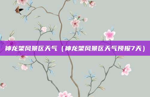 神龙架风景区天气(神龙架风景区天气预报7天)