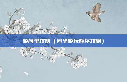 游同里攻略（同里游玩顺序攻略）