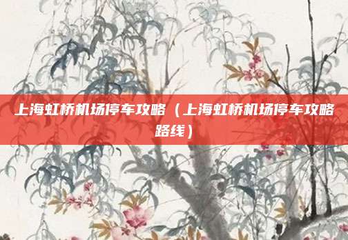 上海虹桥机场停车攻略（上海虹桥机场停车攻略路线）