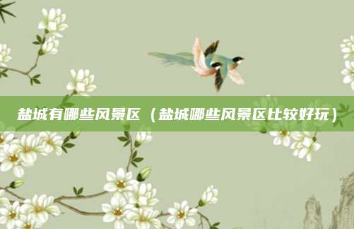 盐城有哪些风景区(盐城哪些风景区比较好玩)