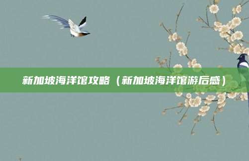 新加坡海洋馆攻略(新加坡海洋馆游后感)