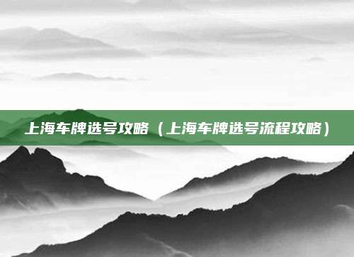 上海车牌选号攻略(上海车牌选号流程攻略)