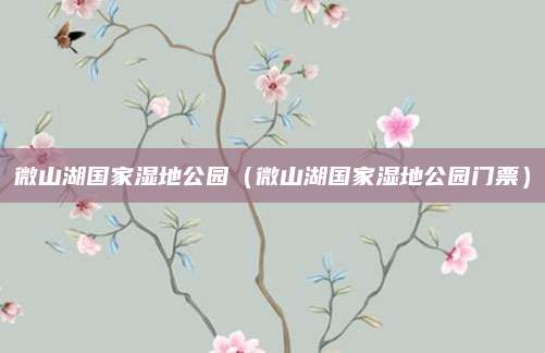 微山湖国家湿地公园（微山湖国家湿地公园门票）