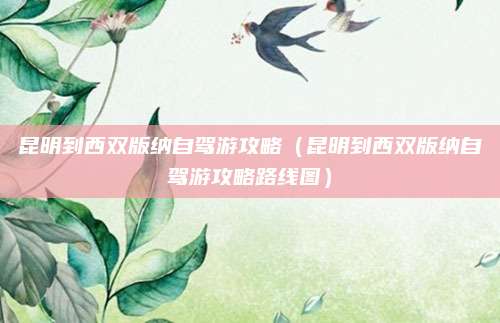 昆明到西双版纳自驾游攻略（昆明到西双版纳自驾游攻略路线图）