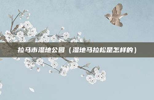 拉马市湿地公园（湿地马拉松是怎样的）