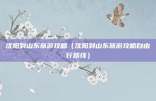沈阳到山东旅游攻略（沈阳到山东旅游攻略自由行路线）