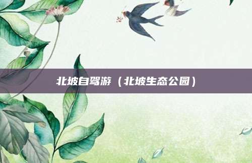 北坡自驾游（北坡生态公园）