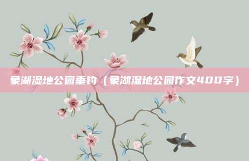 象湖湿地公园垂钓（象湖湿地公园作文400字）
