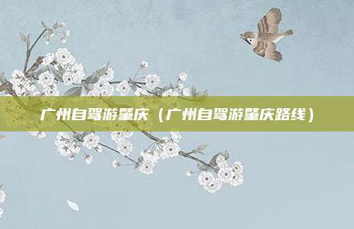 广州自驾游肇庆（广州自驾游肇庆路线）
