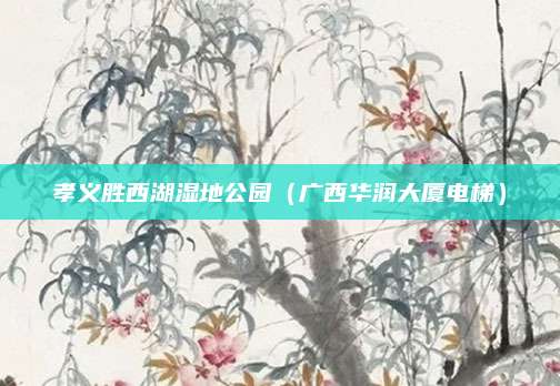 孝义胜西湖湿地公园(广西华润大厦电梯)