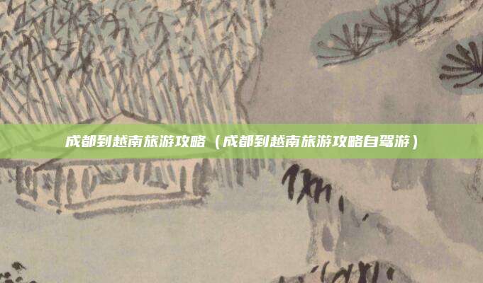 成都到越南旅游攻略(成都到越南旅游攻略自驾游)