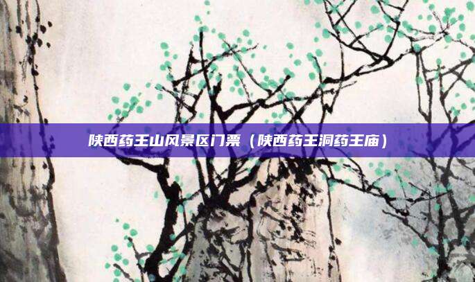 陕西药王山风景区门票（陕西药王洞药王庙）
