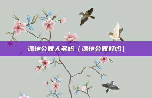 湿地公园人多吗（湿地公园好吗）