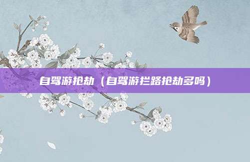 自驾游抢劫（自驾游拦路抢劫多吗）