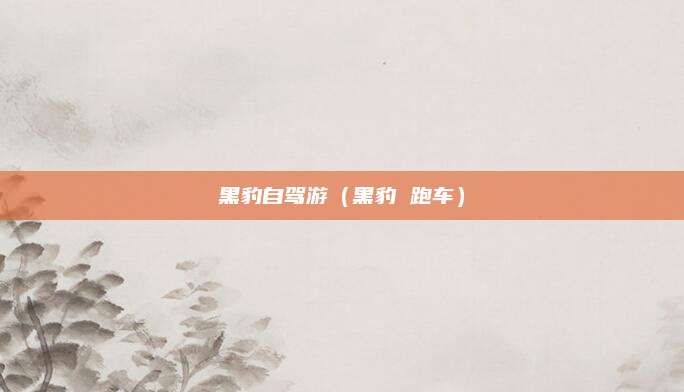 黑豹自驾游(黑豹 跑车)