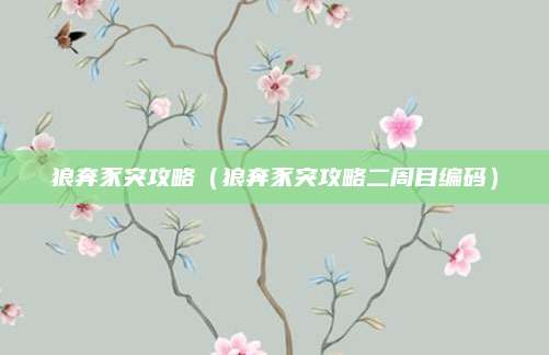 狼奔豕突攻略（狼奔豕突攻略二周目编码）