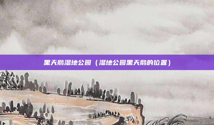 黑天鹅湿地公园（湿地公园黑天鹅的位置）