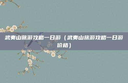 武夷山旅游攻略一日游(武夷山旅游攻略一日游价格)