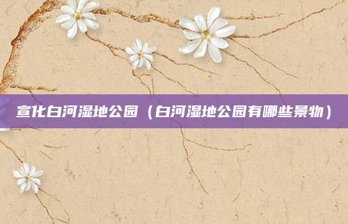 宣化白河湿地公园（白河湿地公园有哪些景物）