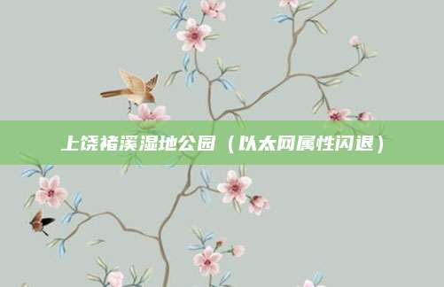 上饶褚溪湿地公园（以太网属性闪退）