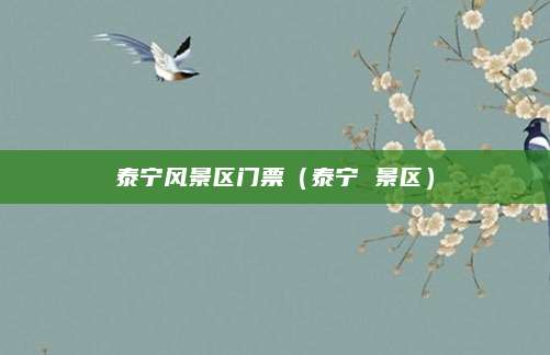 泰宁风景区门票(泰宁 景区)