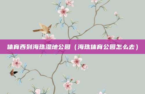 体育西到海珠湿地公园(海珠体育公园怎么去)