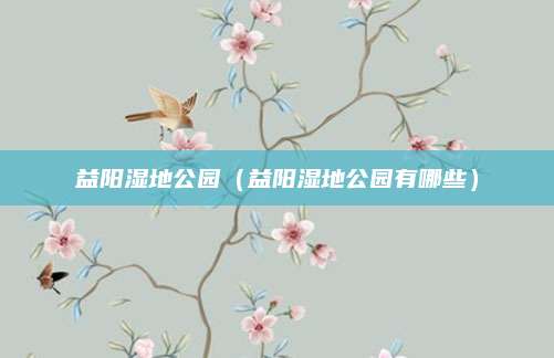 益阳湿地公园(益阳湿地公园有哪些)