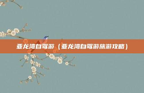 亚龙湾自驾游(亚龙湾自驾游旅游攻略)
