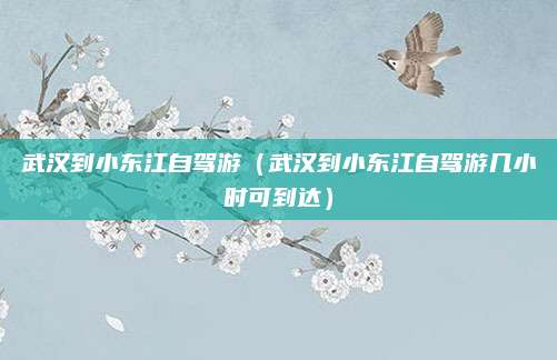 武汉到小东江自驾游（武汉到小东江自驾游几小时可到达）