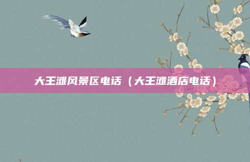 大王滩风景区电话(大王滩酒店电话)