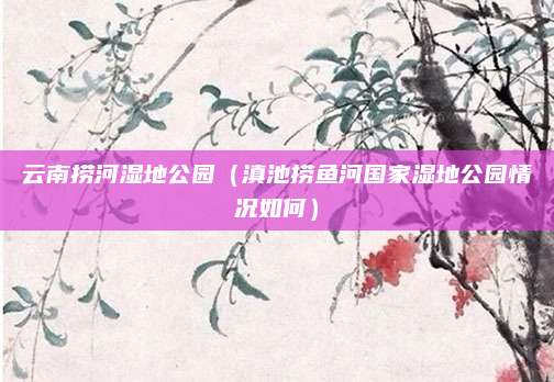 云南捞河湿地公园（滇池捞鱼河国家湿地公园情况如何）