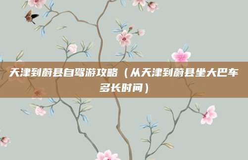 天津到蔚县自驾游攻略(从天津到蔚县坐大巴车多长时间)