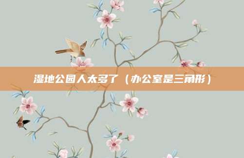 湿地公园人太多了（办公室是三角形）