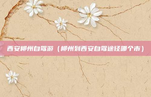 西安柳州自驾游(柳州到西安自驾途径哪个市)