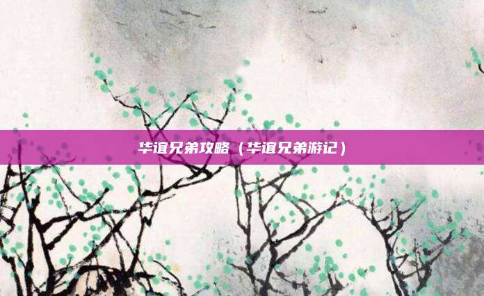 华谊兄弟攻略(华谊兄弟游记)