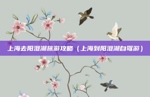 上海去阳澄湖旅游攻略(上海到阳澄湖自驾游)