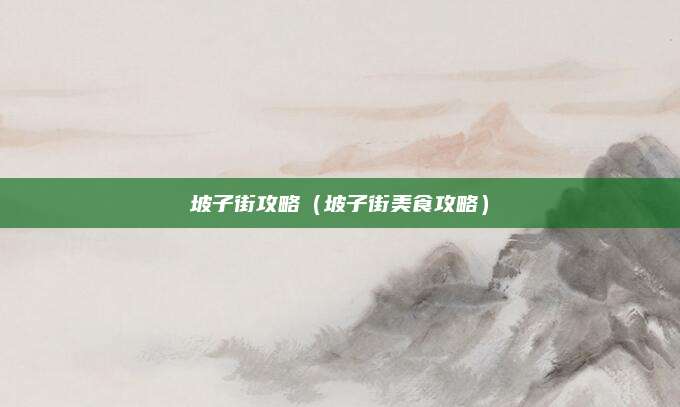 坡子街攻略(坡子街美食攻略)
