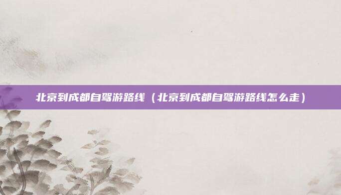 北京到成都自驾游路线(北京到成都自驾游路线怎么走)