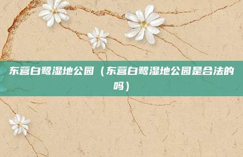 东营白鹭湿地公园(东营白鹭湿地公园是合法的吗)
