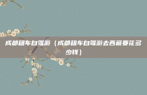 成都租车自驾游（成都租车自驾游去西藏要花多少钱）
