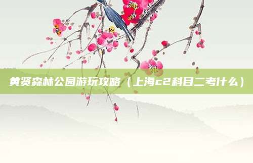 黄贤森林公园游玩攻略（上海c2科目二考什么）