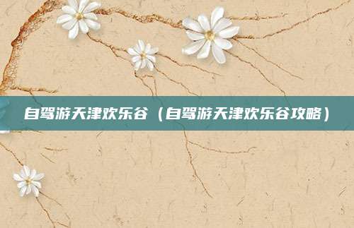 自驾游天津欢乐谷(自驾游天津欢乐谷攻略)