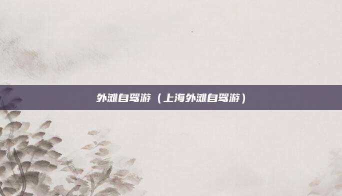 外滩自驾游(上海外滩自驾游)