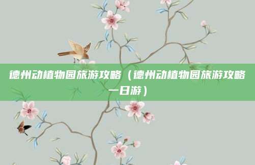 德州动植物园旅游攻略(德州动植物园旅游攻略一日游)