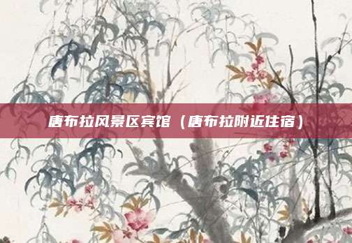 唐布拉风景区宾馆（唐布拉附近住宿）